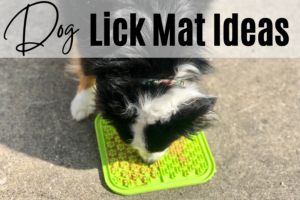 Dog Lick Mat Ideas