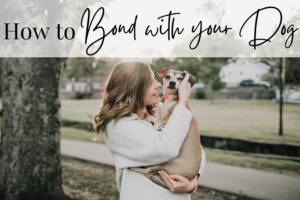 how to bond with your dog 