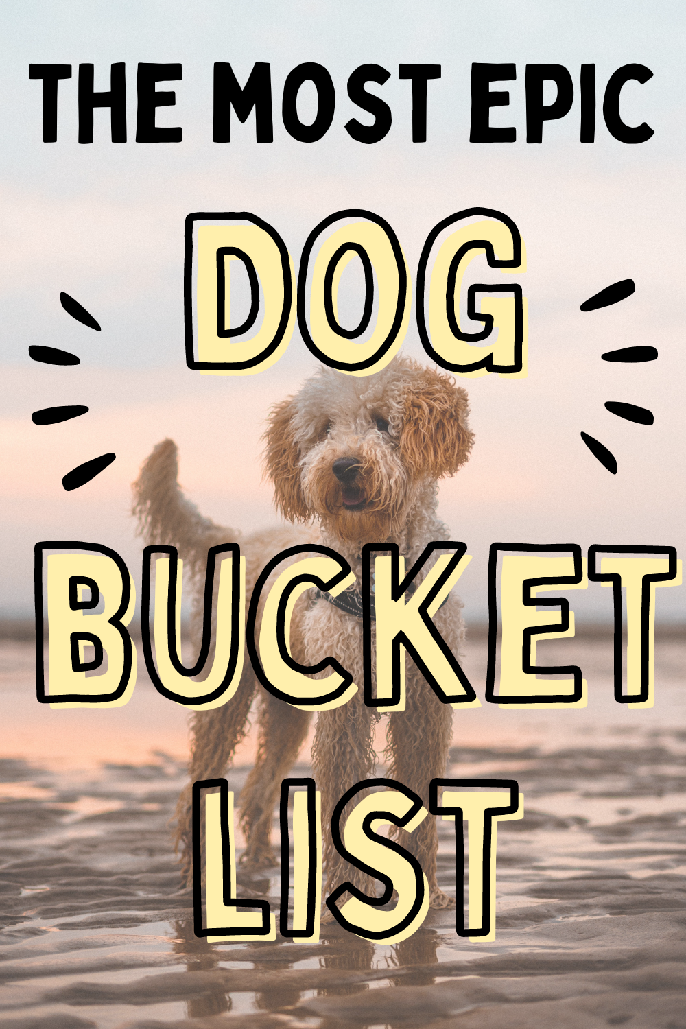 Dog Bucket List Ideas for a Fun Fulfilled Life The Dog Darling