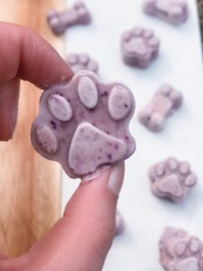 blueberry pupsicles