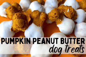 pumpkin peanut butter dog treats