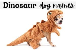 dinosaur dog names