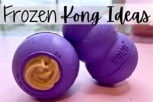 frozen kong ideas for puppies