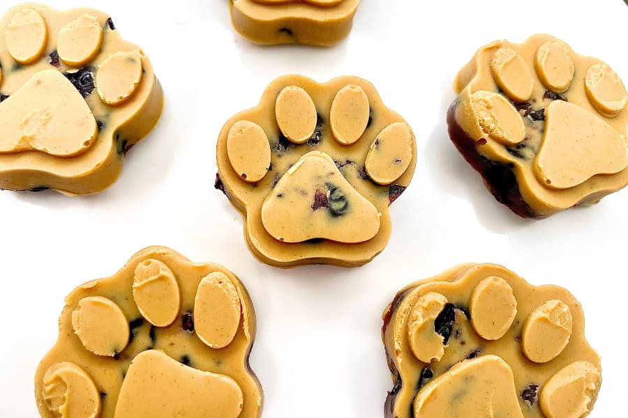 peanut butter and jelly dog treats