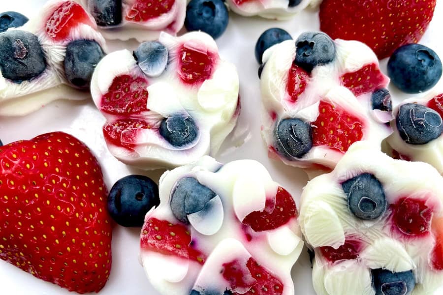 4th of July Dog Treats