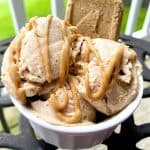 homemade dog ice cream