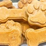 pumpkin spice pupsicles